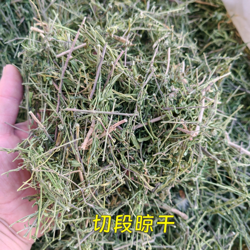 切段地梢瓜羊奶草羊母奶草天然干果陕西特产正品包邮 - 图1