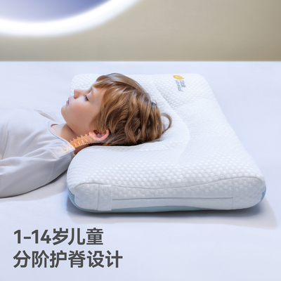 【10A抗菌】贝肽斯分区护脊枕