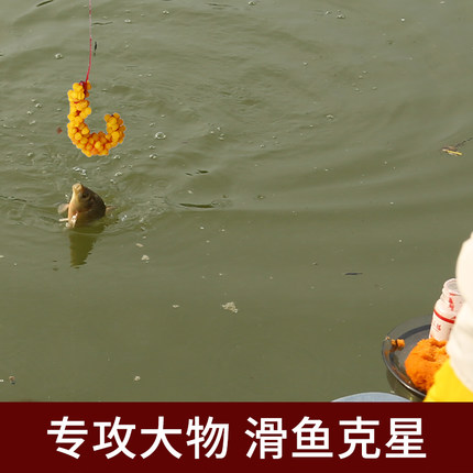 舟三公鱼饵鲫鱼鲤鱼红虫蘸饵空钩钓粘粉饵摇三摇饵料野钓粘米胶 - 图1