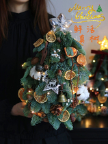 Imported Fresh Nobespine Christmas Tree Real Tree Small Home Desktop Mini Pendulum Pieces Christmas Decorations Suit