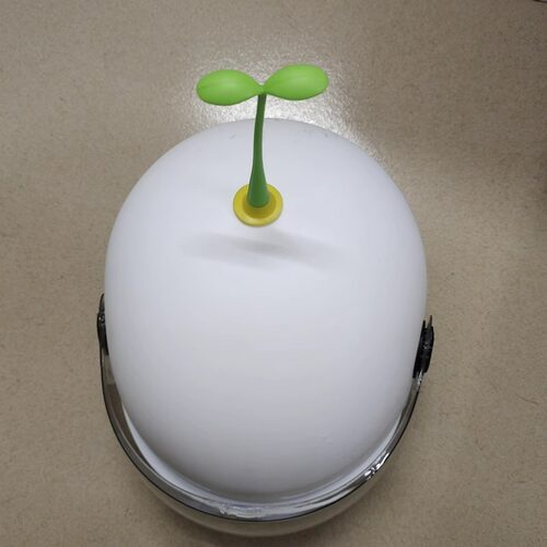 电动车小树苗3d立体装饰贴汽车车载创意可爱摆件会摆动橡胶小绿芽 - 图0