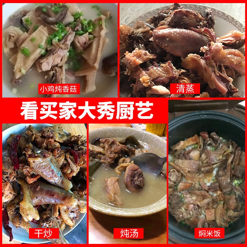 湖北特产风干鸡土特产年货腊鸡风干农家板鸭腊鸭腊味土鸡腌腊鸡肉 - 图1