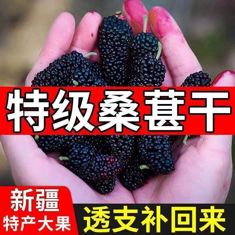 桑葚干500g黑桑椹优选泡茶泡水喝即食新货桑甚干黑桑葚干茶子新疆,淘宝优惠券,粉丝福利购,淘宝优惠卷
