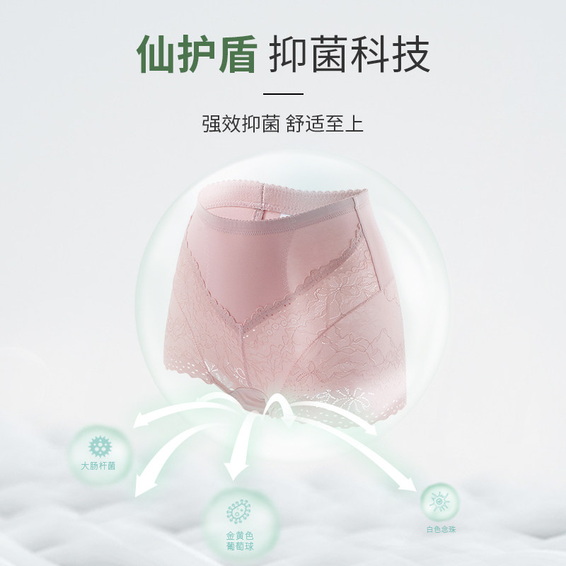 高腰无痕女士收腹纯棉抑菌裆内裤 麦耶女三角裤