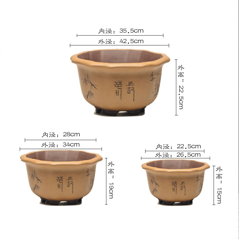 宜兴紫砂陶瓷花盆花卉绿植园艺盆景盆仿古葵式树桩盆兰花花盆 - 图0