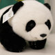 Dmsky cute plush toy flower panda doll