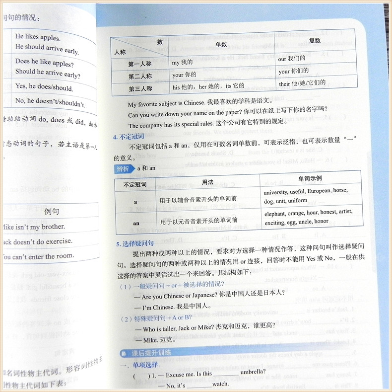 新概念英语1语法强化练习 英语学习 新概念英语一册 英语初阶 外研社教材同步配套语法专项讲解与强化练习 北京教育出版社 - 图2