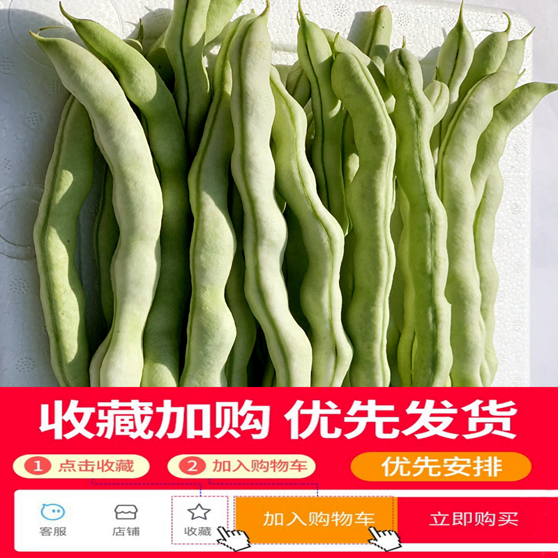 东北白豆角新鲜蔬菜农家白不老芸豆白大架豆角四季豆现摘5斤包邮-图0