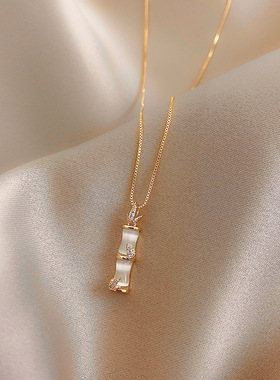 竹节项链炫小虫钛钢锁骨链