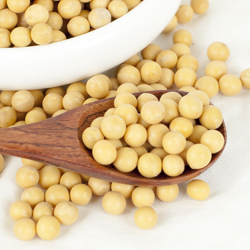 生黄豆面沂蒙山农家自种黄豆现磨现发大豆粉纯黄豆面粉食用杂粮面,淘宝优惠券,粉丝福利购,淘宝优惠卷