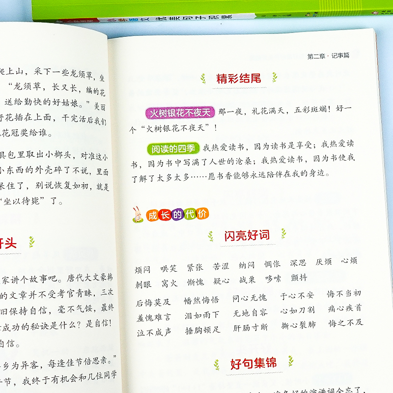 小学语文优美句子积累大全好词好句好段作文素材小学生一二年级三年级四五六年级修辞手法摘抄本比喻拟人排比句写作文技巧书籍人教 - 图2