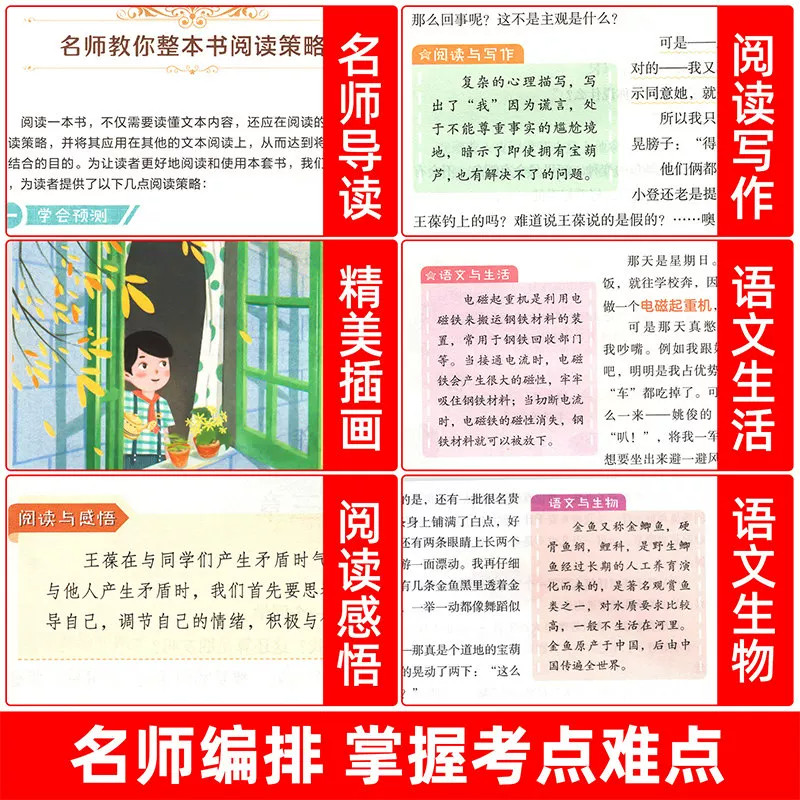 图 5