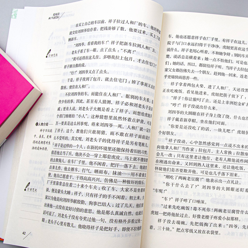 全套8册假如给我三天光明正版原著 老人与海 小学生课外阅读书籍青少年版三年级四五六年级初中生课外书 鲁滨逊漂流记 - 图2