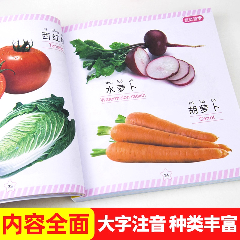 认物大全儿童早教启蒙书儿童绘本婴幼儿启蒙认知早教书0到3岁2岁宝宝益智书籍一岁半宝宝看的书图书书本识字卡片两三岁看图识物 - 图2