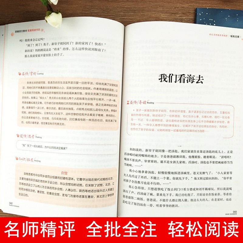 呼兰河传萧红著正版五年级城南旧事原著正版林海音小兵张嘎朝花夕拾呐喊鲁迅骆驼祥子小学生课外阅读书四五六年级老师推俗世奇人荐-图1