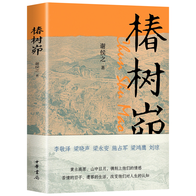 椿树峁 谢侯之著 黄土高原山中日月 镌刻上他们的情感 苦情的日子遭罪的生活 改变他们对人生的认知 - 图3