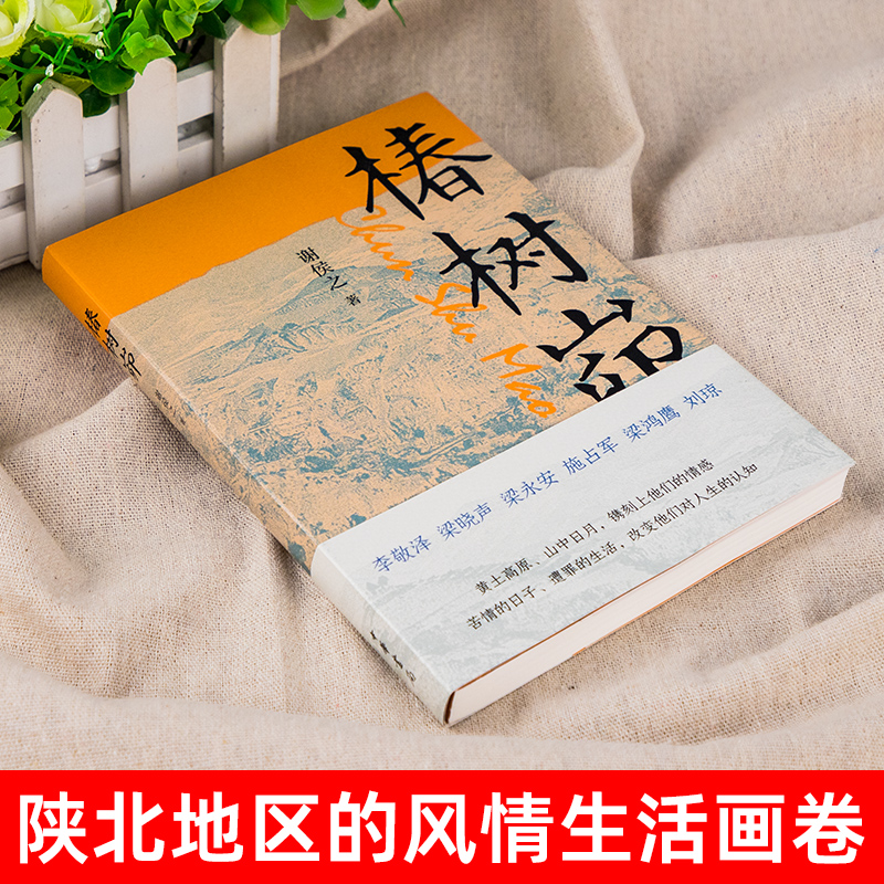 椿树峁 谢侯之著 黄土高原山中日月 镌刻上他们的情感 苦情的日子遭罪的生活 改变他们对人生的认知 - 图0