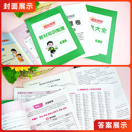 阳光同学小学毕业升学系统总复习全国版人教版语文数学英语科学小升初总复习小学六年级升初中小考真题试卷知识点强化训练资料 - 图2