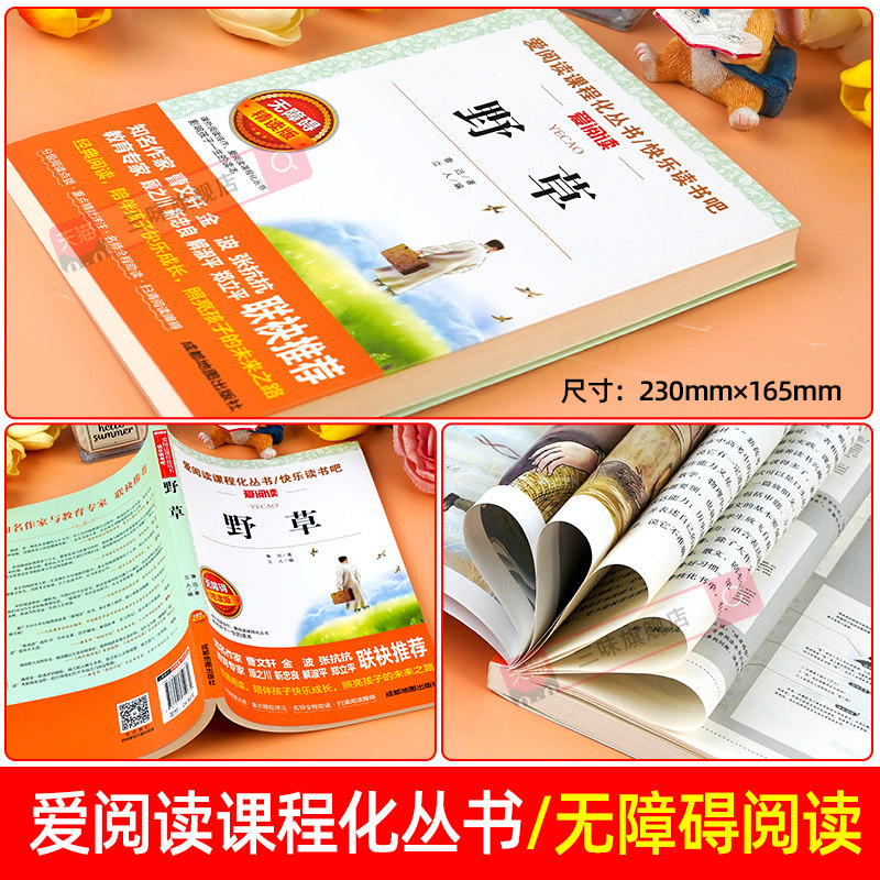野草鲁迅原著必读正版 小学生散文读本三四五六年级上册下册小升初七年级看的课外书初中生课外阅读书籍小说经典作品全集精选,淘宝优惠券,粉丝福利购,淘宝优惠卷