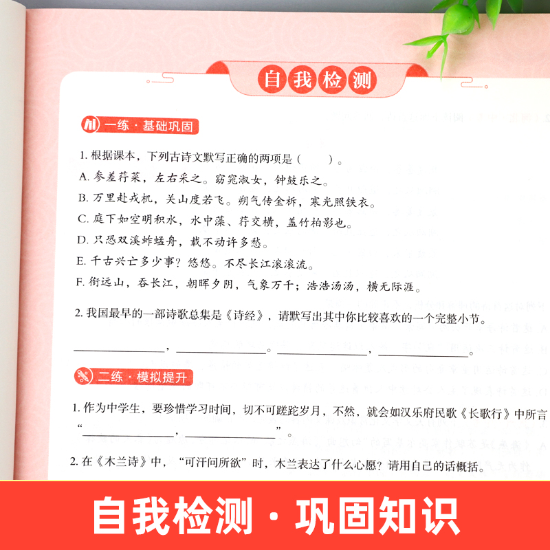 初中必考文学文化常识语文基础知识手册人教版文言文全解完全解读实词虚词通背诵古诗词古诗文大全中国古代文学文化常识阅读中考