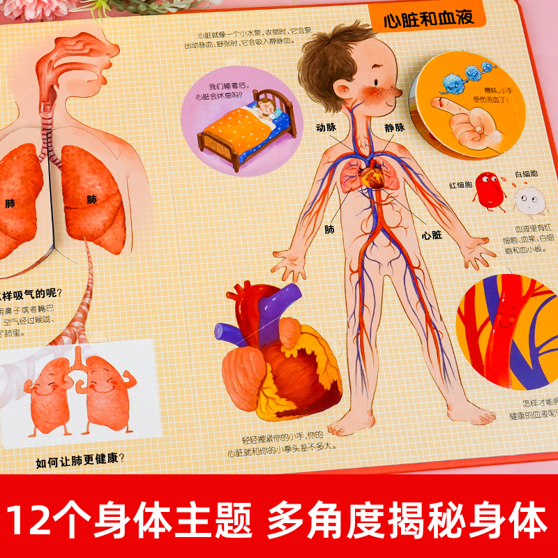 探秘我的身体好玩的3d立体书 揭秘系列儿童翻翻书图解我们的身体人体百科全书宝宝撕不烂儿童绘本性教育早教启蒙小学生科普书籍 - 图0