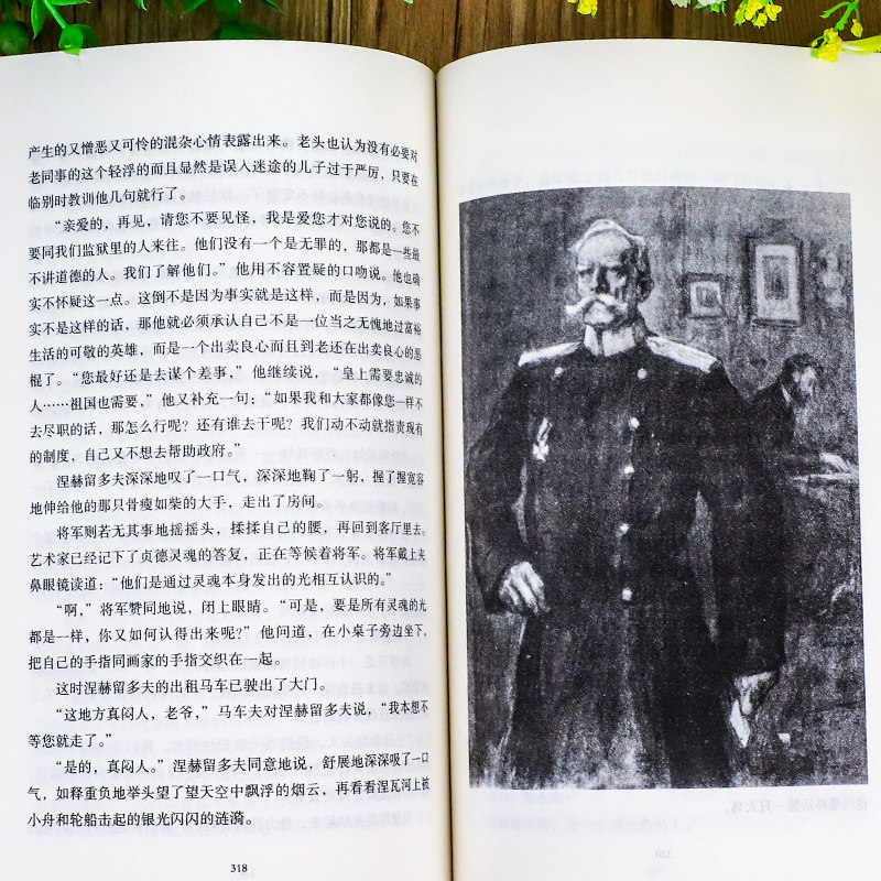 复活列夫托尔斯泰著正版原著全译本中文版无删减完整版复活书世界经典文章名著外国小说初中生高中生课外书课外阅读书籍_虎窝淘