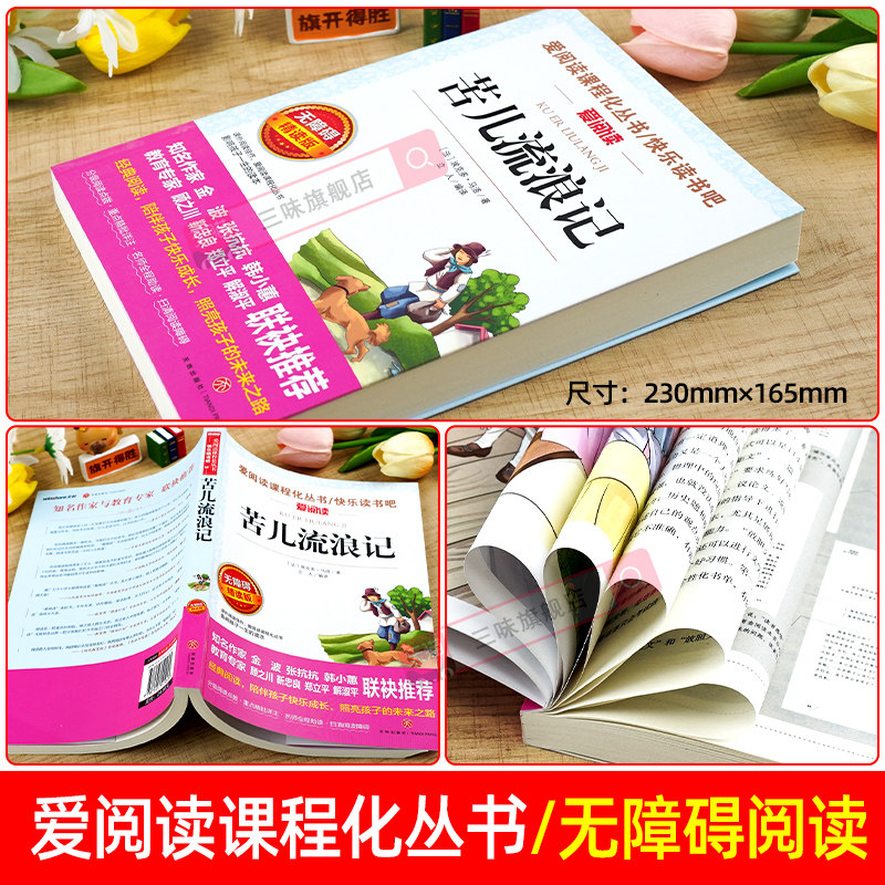 苦儿流浪记正版四年级阅读课外书必读老师推荐上下册儿童书籍三五六年级小学生课外阅读书籍儿童文学故事书世界经典名著小说读物,淘宝优惠券,粉丝福利购,淘宝优惠卷
