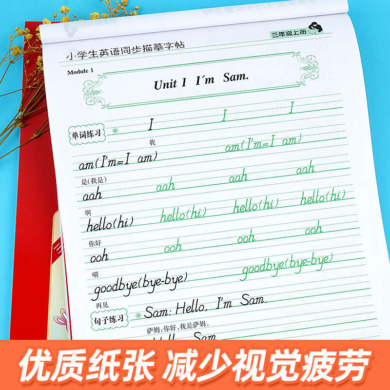 外研版三年级起点英语字帖3一6年级英语字帖四年级五年级六年级上册下册字帖同步练习册单词词汇临摹纸练字帖小学生专用英文描红本 - 图3