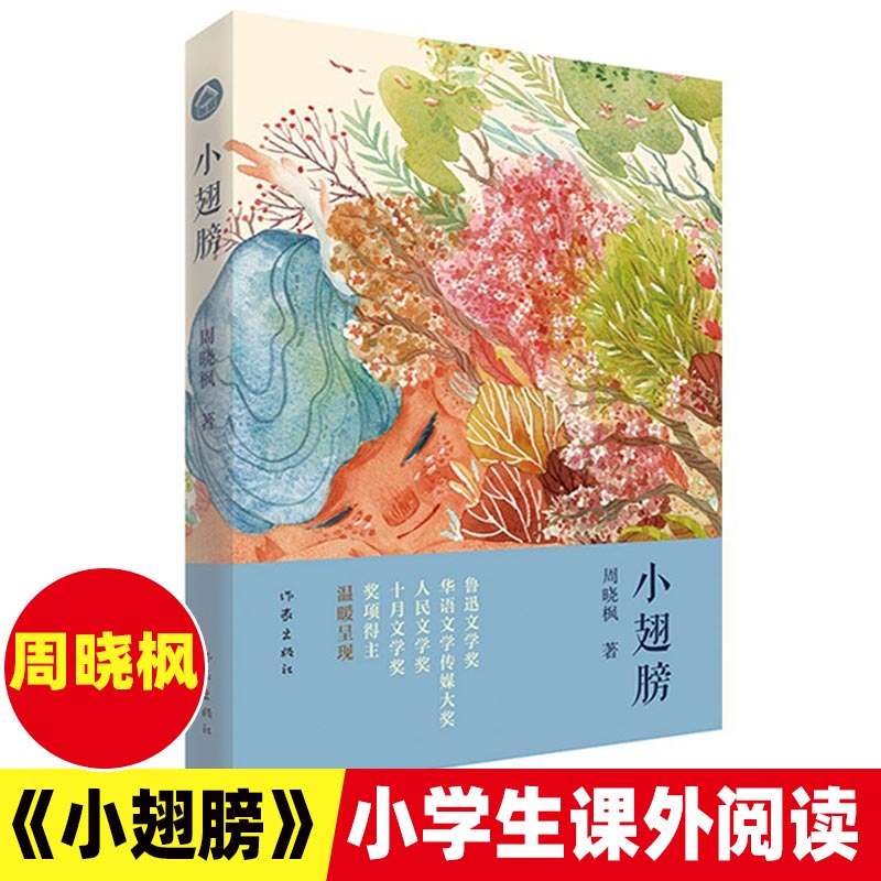 新书小翅膀  周晓枫著  儿童文学  青少年课外阅读书籍 儿童四年级五六年级小学生课外阅读书籍聋天使巨鲸歌唱有如候鸟 - 图2