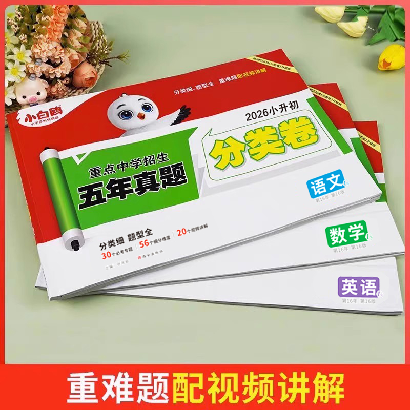小白鸥2024星空小升初分类卷招生真题语文数学英语五年真题试卷集锦四五六年级通用版小升初衔接星空升级版小白鸥星空小升初分类卷