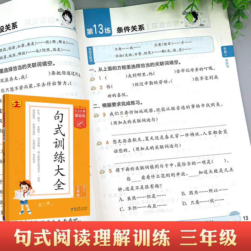 53小学基础练积累与默写上下册 2022新版小学语文句式训练大全一二三年级四年级五六年级全一册句式大全阅读真题100篇句式训练大全_书籍_杂志_报纸