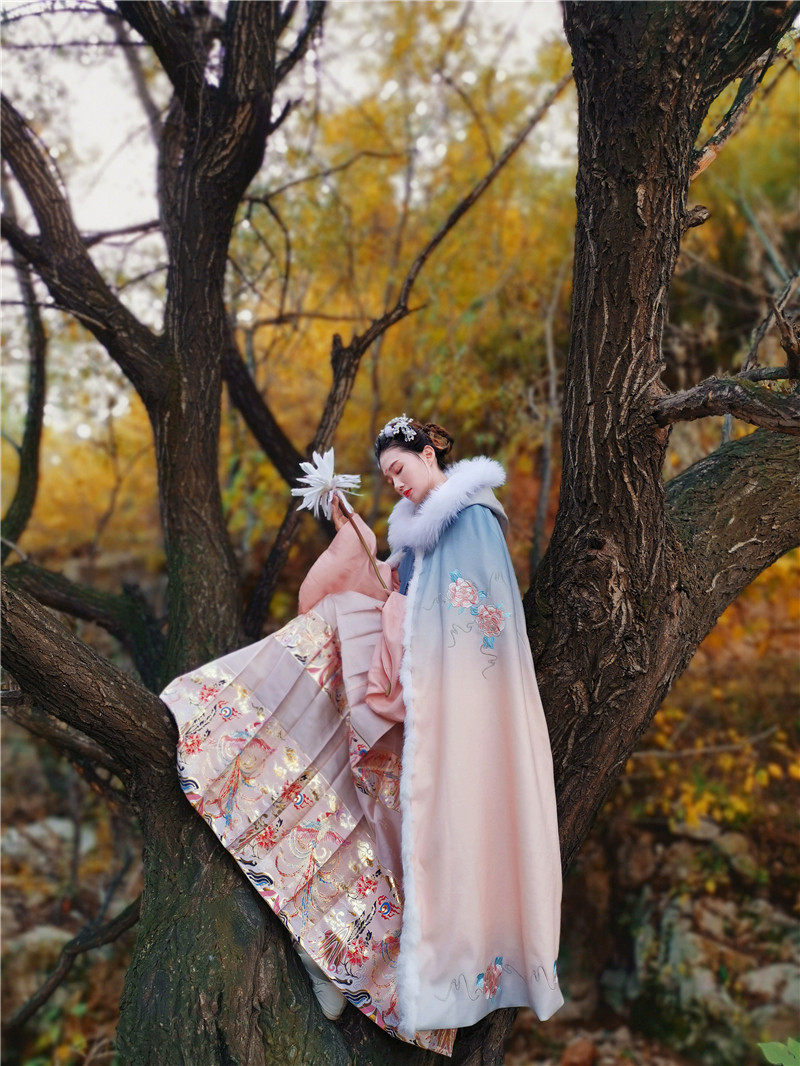 陛下兰他惜原创汉服九天玄女仙斗篷 陛下兰他惜汉服