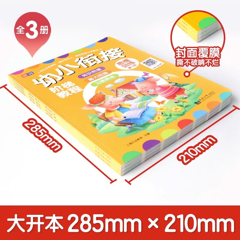 学前数学思维训练幼小衔接阶梯教程JST儿童益智教材3-4-5到6-7岁幼儿园升小学一年级趣味启蒙早教阶梯数字小孩书幼儿智力潜能开发