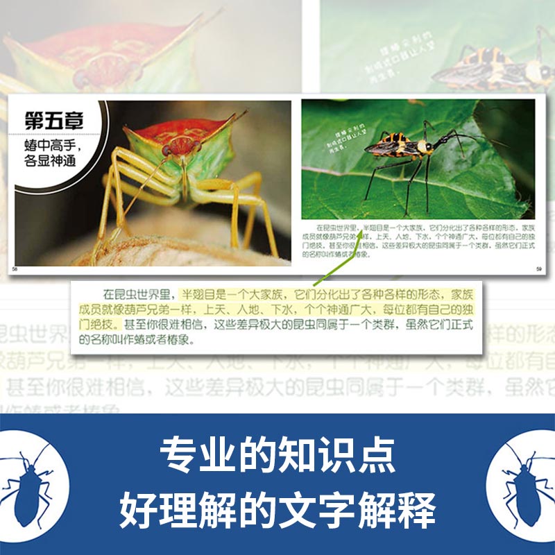 【全5册】博物大发现我的1000位昆虫朋友 1200余幅可爱大片JST5位昆虫大神带你探访中国昆虫的5大家族磨铁图书正版酷虫学校同类书-图1