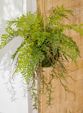 仿真蕨类植物吊球吊饰掬涵装饰