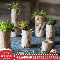 Culvert Creative Ornament Pendant decoration Hanging Wall Decoration Mini Multi Meat Flower Pot Air Pineapple Plant Floral Wall Decoration