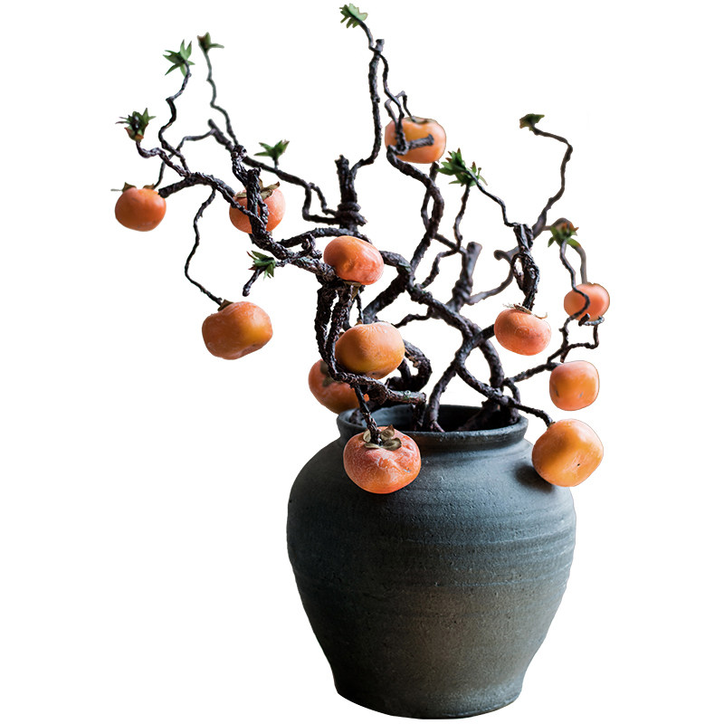 掬涵仿真柿子藤果实缠绕藤蔓装饰仿真树花果植物景观道具,淘宝优惠券,粉丝福利购,淘宝优惠卷