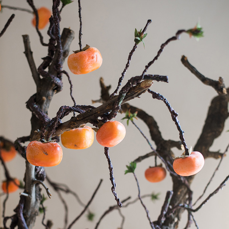 掬涵仿真柿子藤果实缠绕藤蔓装饰仿真树花果植物景观道具,淘宝优惠券,粉丝福利购,淘宝优惠卷