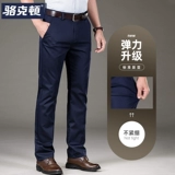 Шелковые штаны, тонкий осенний пиджак классического кроя, свободный прямой крой