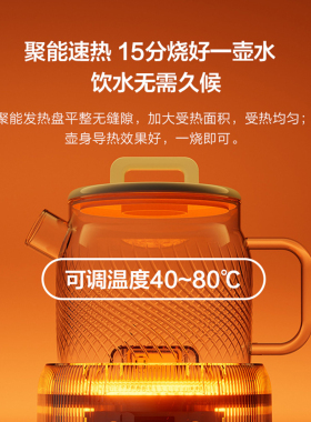 2025新款全玻璃养生壶防溢出