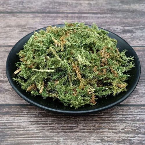 中药材伸筋草筋骨草正品新货透骨草舒筋草石松狮子500g多规格-图2