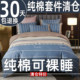 100% Class A pure cotton four-piece bedding set