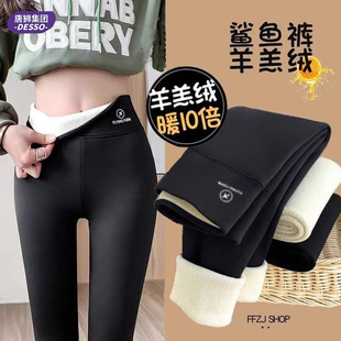 唐狮！加厚羊羔绒鲨鱼裤