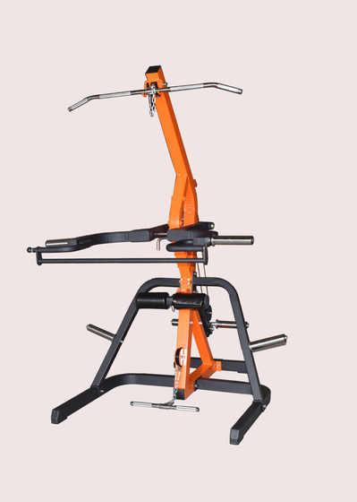 Heavy-duty safety bench press Little Wasp comprehensive training device