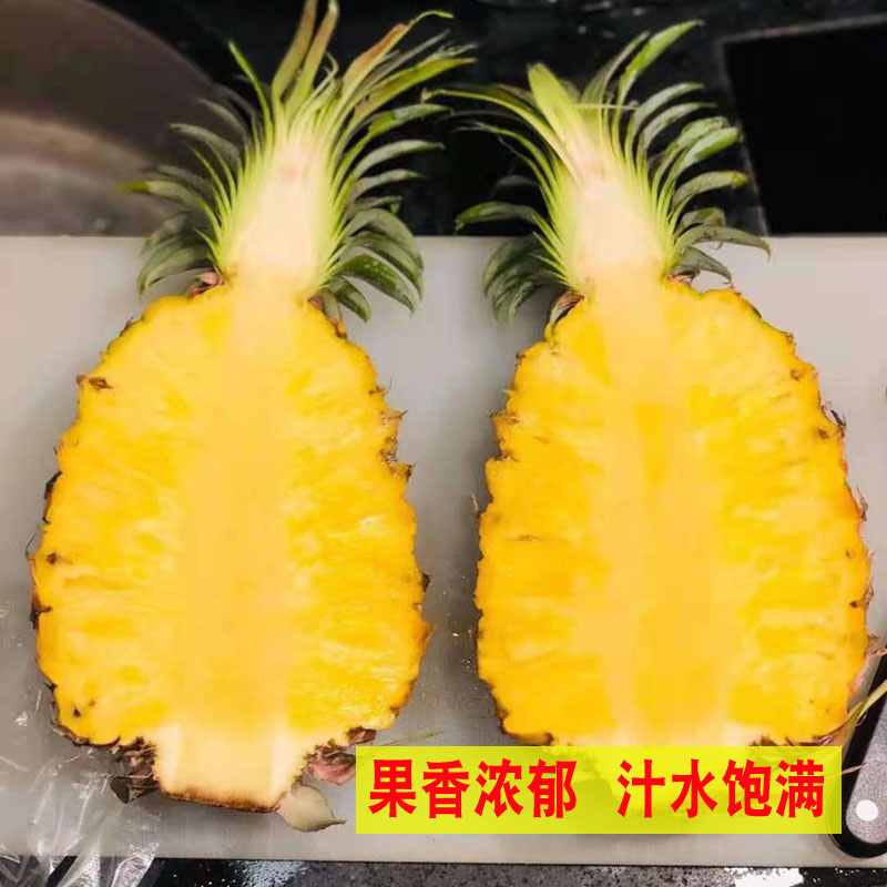 广东徐闻菠萝水果10斤装当季香水菠萝新鲜凤梨湛江香脆小菠萝带箱 - 图2