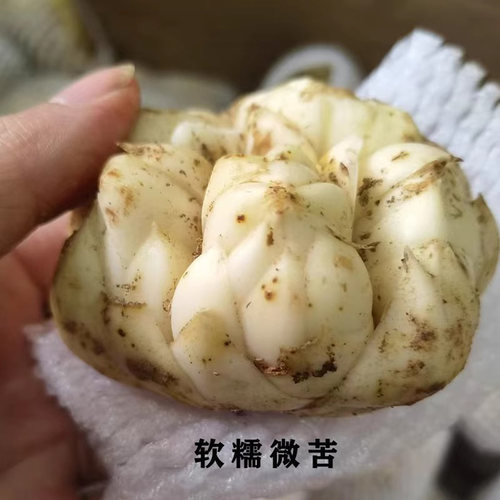 宜兴鲜百合食用土特产家用送人新鲜百合微苦软糯新鲜产地直发 - 图1