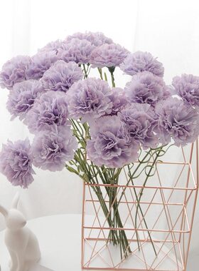 康乃馨仿真摆件塑料情人节装饰花