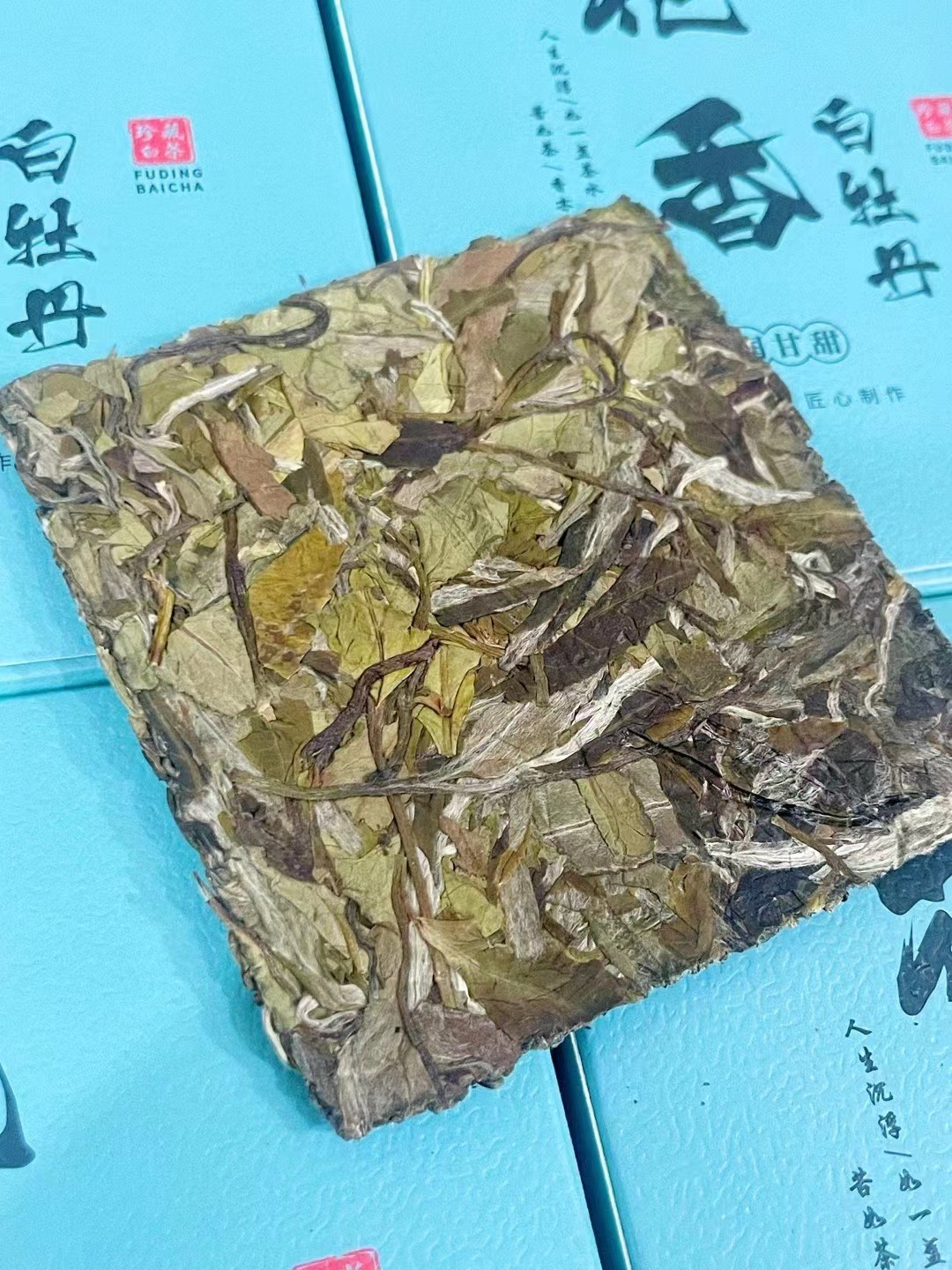 福鼎白茶大毫牡丹王早春高山花香白牡丹茶饼新茶叶铁盒装-图0