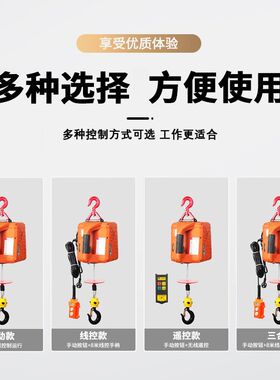 遥控电动吊车220v小吊机家用小型升降0.5吨微型可携式提升机电动