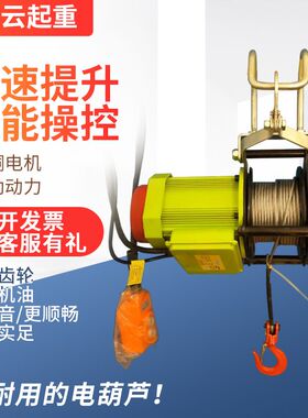 无刷式快速小金刚提升机微型电动葫芦220v小型吊机建筑升降卷扬机